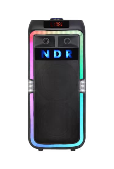 SHT Double High Power Portable Speaker, Bluetooth & Wireless, Microphone, 100Watts, Black