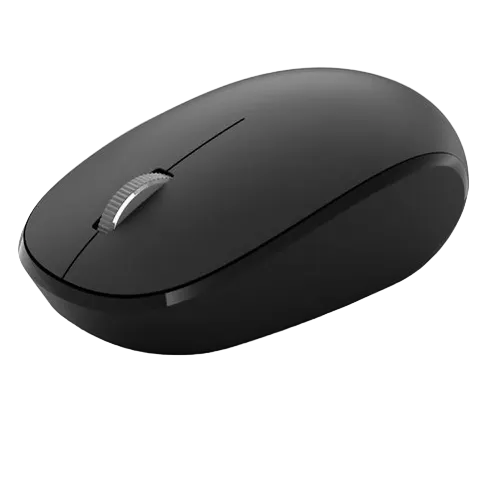 Black computer mouse on a white background