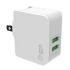 SP-WC102P/SILICON-POWER WALL CHARGER white