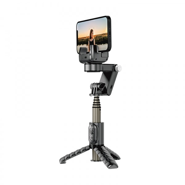 Wiwu Detachable Tripod Selfie Stick