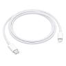 A /Apple USBC to Lightning Cable 1m