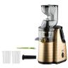 RAF Slow Juicer 150W