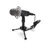 YANMAI Equipment Microphone Y20 Professional Game Condenser Microphone with Tripod Holder, noise